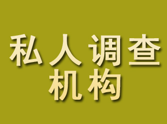 岭东私人调查机构