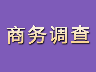 岭东商务调查